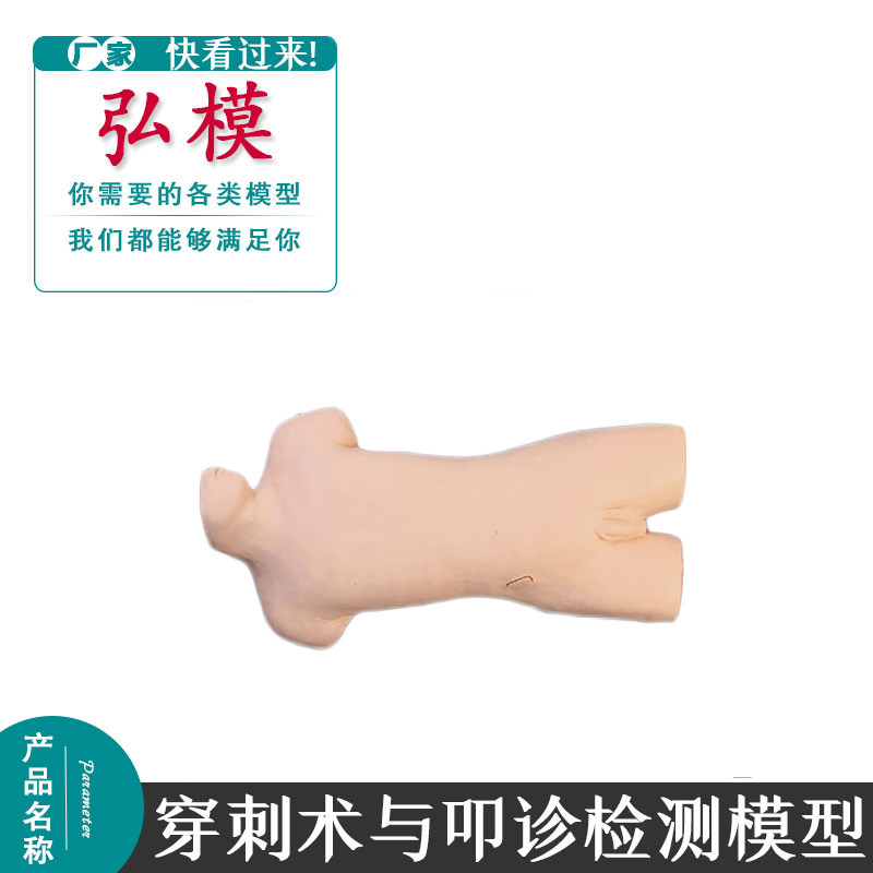 腹部移动性浊音叩诊与腹腔穿刺仿真标准化病人腹腔穿刺仿真人模型