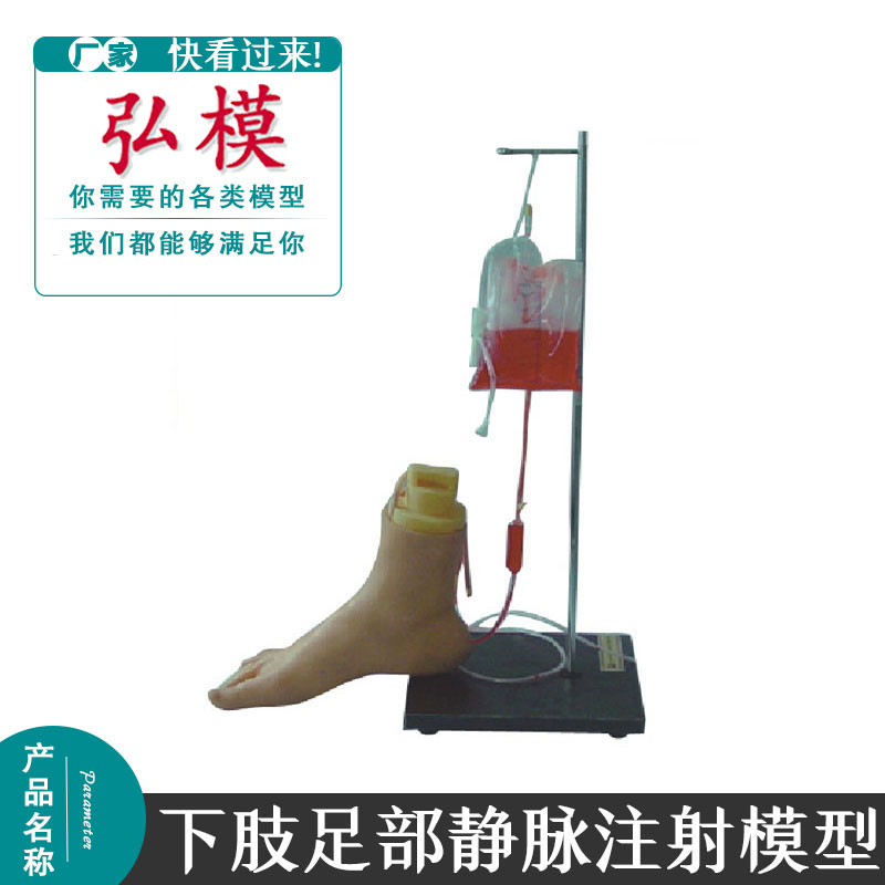 弘模下肢足部静脉注射仿真模型静脉血管系统急救训练模型输液模型
