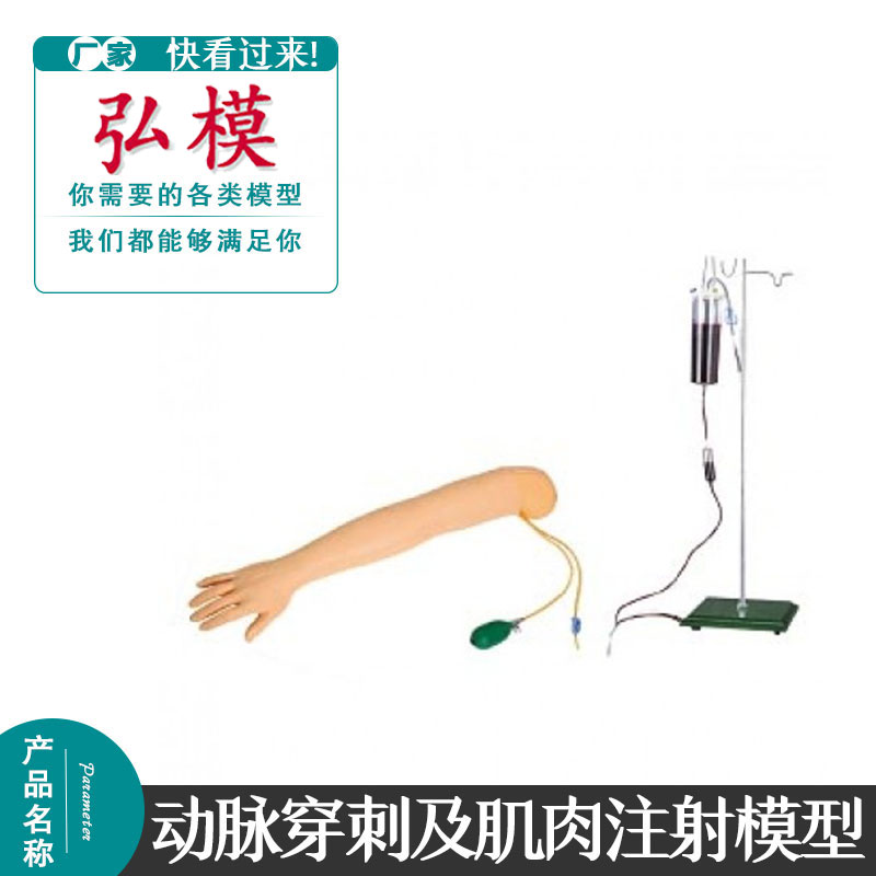 弘模高级手臂穿刺及肌肉注射模型手臂动脉穿刺训练模型医学教学模