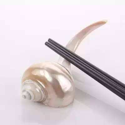 Tea holder Tea set accessories Southeast Asia imported creative shell chopstick holder Chopstick holder Pen holder Natural conch