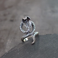 Кольцо из 15 сетей