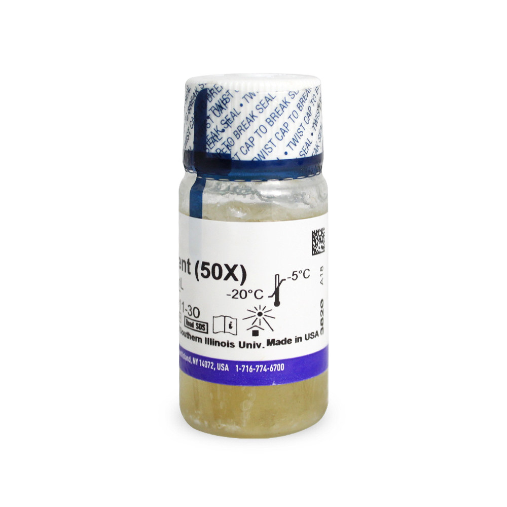 17504-044 B-27无血清添加剂（50X）10ml Gibco