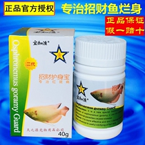 Baozhiyu lucky body protection treasure second generation treatment lucky fish erythema rotten body medicine Warship fish ornamental fish fish medicine