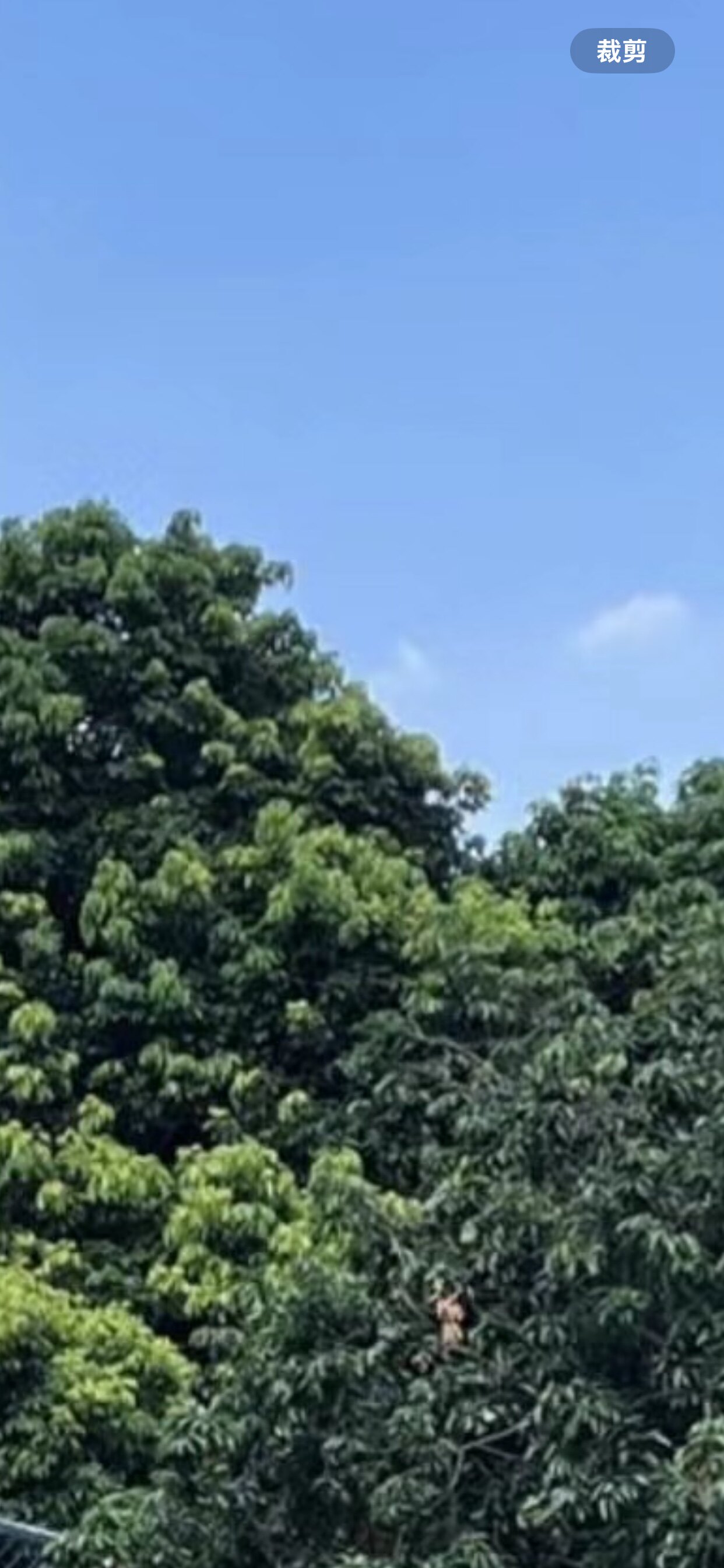 爱阳正品杀虫防治专家