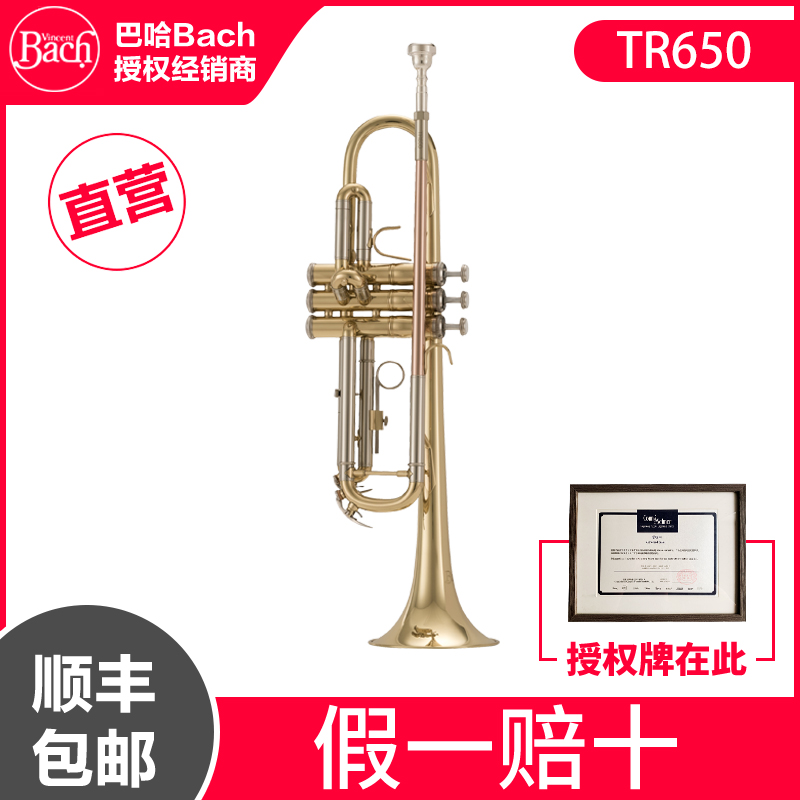 Baja Bach B-tone trumpet authorized dealer direct TR650 lacquered gold TR650S silver plated