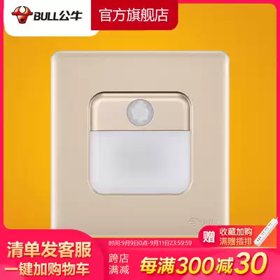 Bull socket flagship footlamp staircase bedside night light human body intelligent infrared induction Wall foot indicator G28