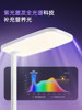 Bull Small Clear Sky Street Lamp Air Home Floor Standing Eye Protection Lamp Children's Reading Lamp Vertical Eye Protection Table Lamp