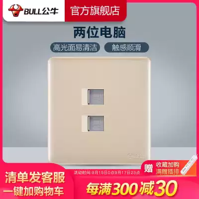 Bull socket flagship switch socket dual computer socket network socket panel dual port network route panel G28