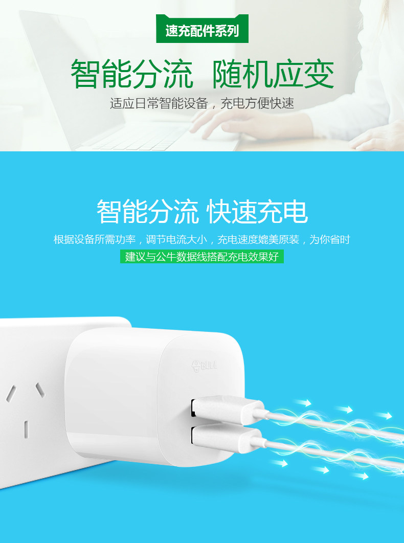 chargeur BULL - Ref 1296287 Image 9