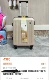 Подлинный aihua Champagne Color 20 -INTH Close Loss and Vertical Clause