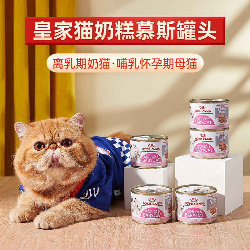 Austria imported royal milk cake canned 195g weaning kitten postpartum nursing mother cat mousse meat puree staple food