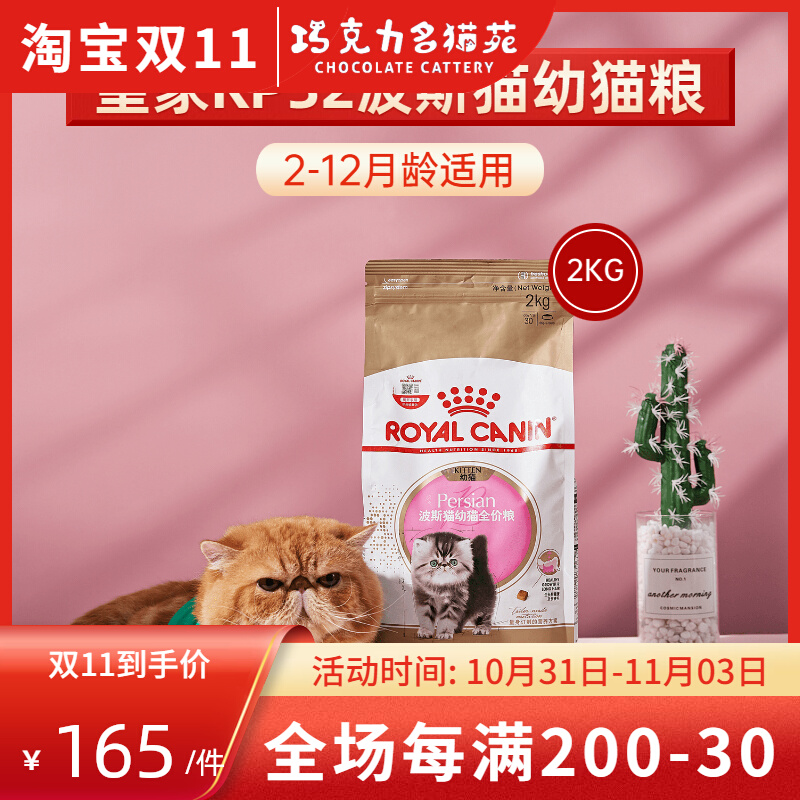 Royal P32 Persian special young food 2kg Garfield different short long hair beauty hair fattening development full price grain 2 months old