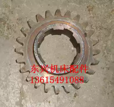 River Z5163 Z5180 gear 631118 M4Z24 spline 6-50X12 height 32