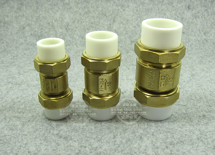 Positive crowd-card copper vertical check valve ppr check valve 4 points 6 points 1 inch backstop valve backstop valve 40 50 63