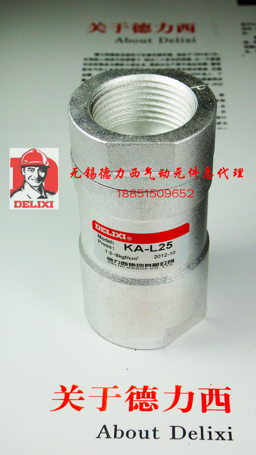 Delixi pneumatic components check valve KA-25 one inch store]