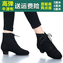 Professional Latin Dance Shoes Adult Lady Soft Bottom Dancing Shoes Teacher Shoe Body Training Medium-high Heel Square Dance Shoes