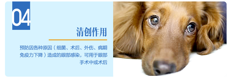 Chính hãng Golden Shield Love Dog Eye Drops Boric Acid Drops 20ml Viêm kết mạc Viêm mắt Eye Wash Eye Wash Eye Drops - Thuốc nhỏ mắt nước mắt nhân tạo sanlein