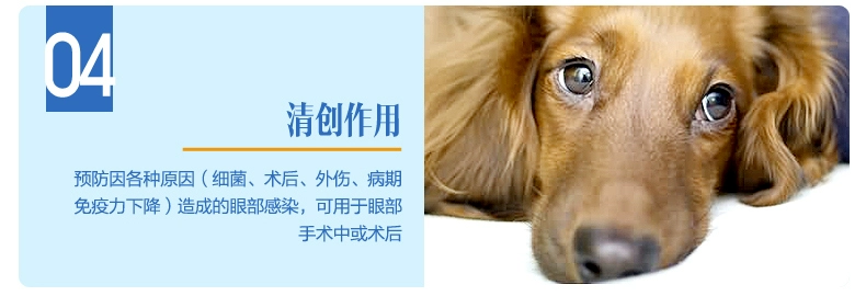 Chính hãng Golden Shield Love Dog Eye Drops Boric Acid Drops 20ml Viêm kết mạc Viêm mắt Eye Wash Eye Wash Eye Drops - Thuốc nhỏ mắt