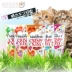 Cat Kiss Nhật Bản nhập khẩu đồ ăn nhẹ cho mèo, làm sạch răng, răng hàm thành mèo con, bánh quy, cá khô, dinh dưỡng, vỗ béo, gói 30g5 - Đồ ăn nhẹ cho mèo