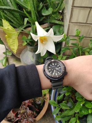 Seiko Seiko-Prospex Series Sne543J1 Solar-Powered Men's Watch