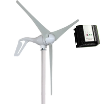 Wind generator home 12V24V220v permanent magnet small wind energy generator with scenic and complementary control