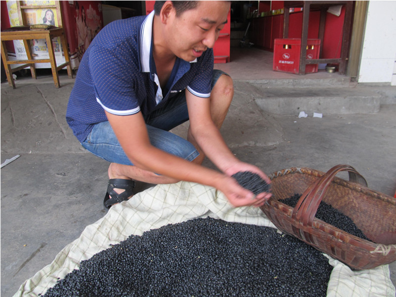 Shennongjia farm self-planted black beans green heart black beans black green beans non-GMO grains 500g