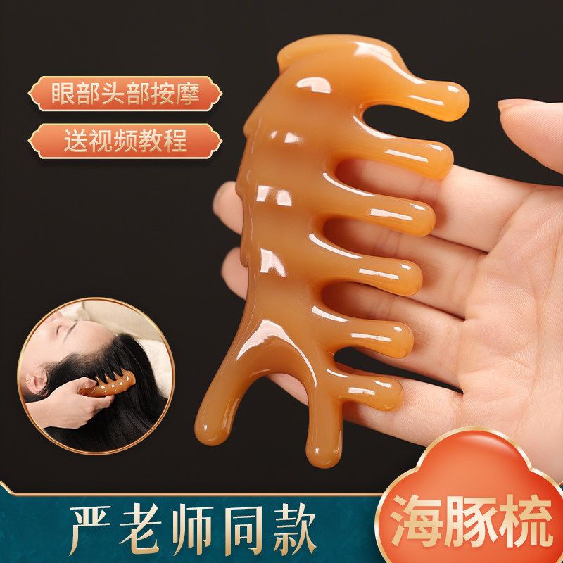 树脂五齿按摩梳海豚头部眼部疏通经络头皮头疗神器点穴刮鼻圆头大