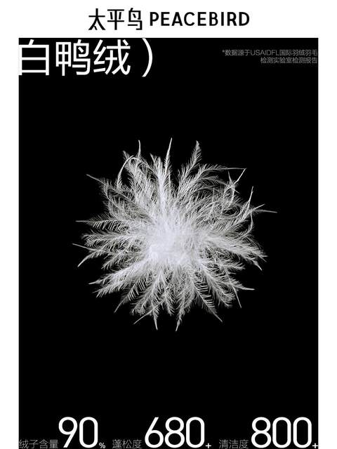 Peacebird Women's Satin down Jacket 2024 Winter New Knitted Patchwork Stand Collar Puffer Jacket Elegant Warm Coat