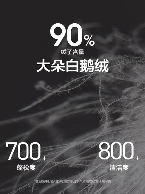 PEACEBIRD Men's Goose Down Down Jacket Men's Winter New Outdoor Workwear Hooded Cordura Down Jacket