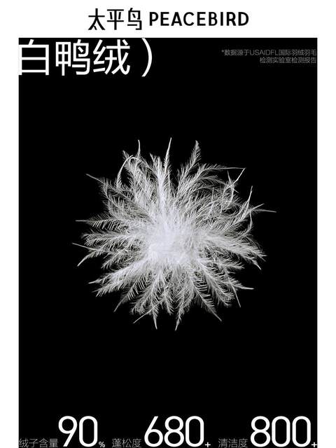 [American Retro] Peacebird Men's down Jacket 2024 Winter New Baseball Collar Cold-Proof Flight Jacket