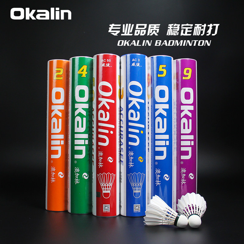 Oklin Badminton AC02 AC04 Duckhair Stability Club Stability Club Match with Weijian