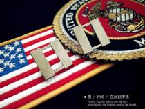 American Marine Corps Captain receives a collar badge silver U.S. officer rank military rank police rank badge
