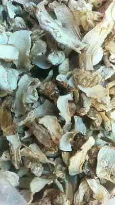 Lijiang wild Tricholoma matsutake dried slices of small head matsutake Tricholoma matsutake dried Tricholoma matsutake