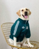 Домашние собаки большие собаки весна и осенняя одежда китайская воздушная хлопковая одежда