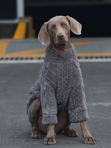 Одежда для собак, одежда для больших собак Лабрадор золотистый ретривер Сацума, двусторонняя утолщенная зимняя одежда, пижамы для защиты живота собаки