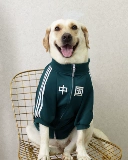 Домашние собаки большие собаки весна и осенняя одежда китайская воздушная хлопковая одежда