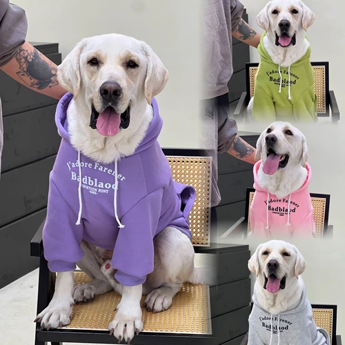 Большая собачья одежда для домашних собак, конфет, четырехцветную осенню