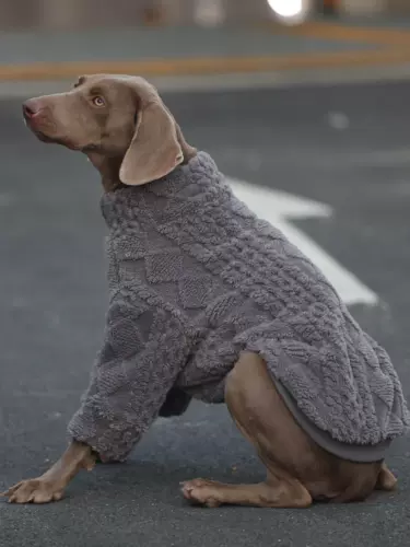 Одежда для собак, одежда для больших собак Лабрадор золотистый ретривер Сацума, двусторонняя утолщенная зимняя одежда, пижамы для защиты живота собаки