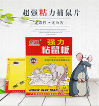 Jiaxiang super strong sticky rat board catch stick rat glue Rat killer rat killer 10 pieces A5