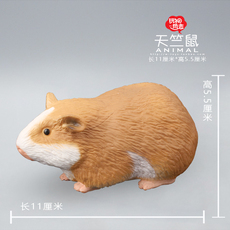 Игрушки-животные 玩物尚志天竺鼠模型仿真动物玩具豚鼠荷兰鼠荷兰猪儿童认知益智