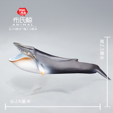 Игрушки-животные 动物模型玩具 布氏鲸