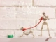 Skeleton People+Skeleton Dog 2 Set Set