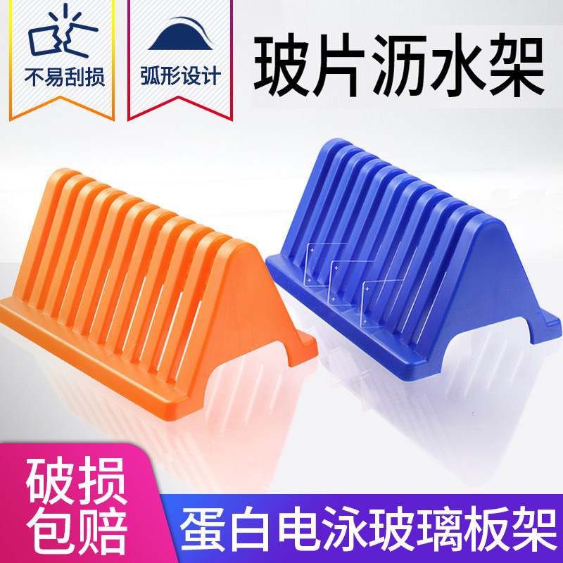 WB玻璃板支架 电泳玻璃板晾干架 干燥架 沥水架 伯乐天能六一