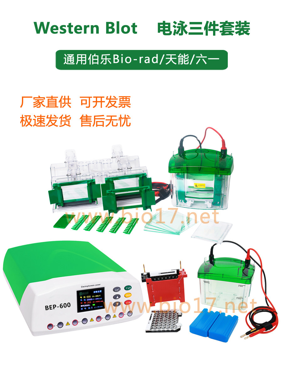 wb电泳套装 wb电泳槽 wb电泳仪 伯乐Mini Trans-Blot1658033国产