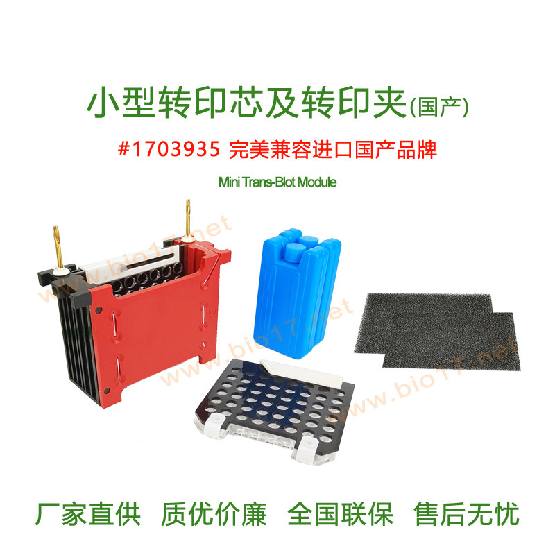 小型转印芯及转印夹 伯乐bio-rad  转印芯 转印夹1703935 国产