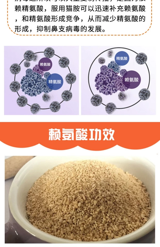 Cat Lysine Taurine Nasm Ammonia Powder Amino Acid Cat Amine lăn hắt hơi 200g - Cat / Dog Health bổ sung