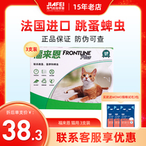 In vitro Deworming for cats Deworming medicine for cats Flea and lice drops for pets Cat kittens Forayn Forayn Forayn Forayn Forayn Forayn Forayn Forayn Forayn Forayn Forayn