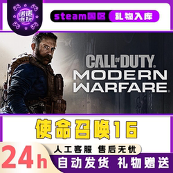 Call of Duty 16 Steam Official Chinese Region Gift for Friends, Gift Addition to Inventory
