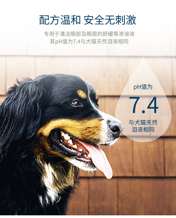 Beethoven Pet Pháp Vick Eye Cleansing Eyes Dogs Eye Care Liquid Liquid Eye Drops 60ml - Thuốc nhỏ mắt thuoc nho mat viroto