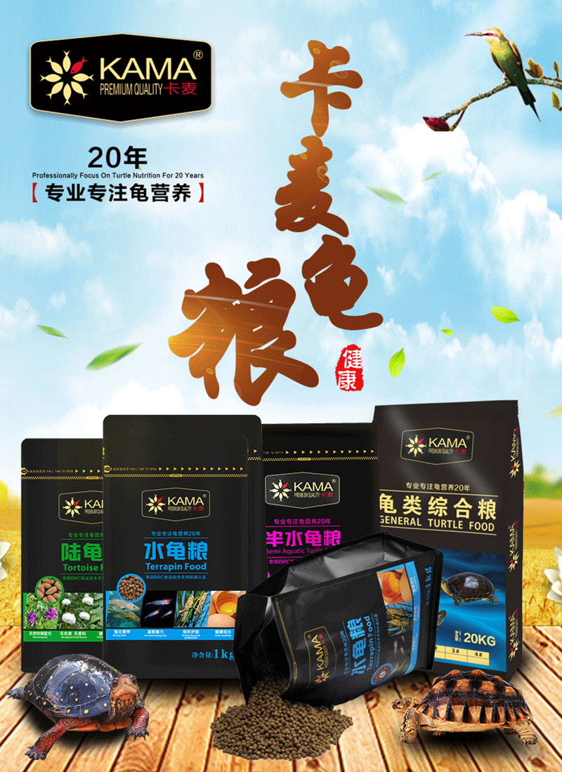 Kamei Tortoise Grain Increased Color Turtle Grain Yellow Edge Sukada Water Turtle Half Water Turtle Turtle High Calcium Turtle Grain doesn't Lung Back Stone Turtle Grain